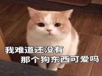 上海趁橙餐饮管理有限公司