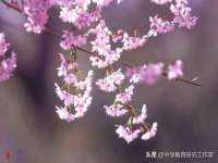 上海趁橙餐饮管理有限公司