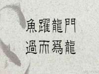 上海趁橙餐饮管理有限公司