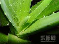 上海趁橙餐饮管理有限公司