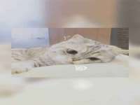 上海趁橙餐饮管理有限公司