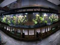 上海趁橙餐饮管理有限公司