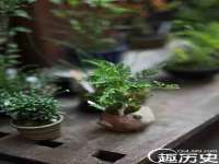 上海趁橙餐饮管理有限公司