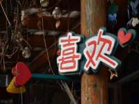 上海趁橙餐饮管理有限公司