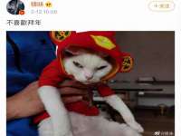 上海趁橙餐饮管理有限公司